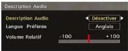 TECHWOOD VL47TV2011 - Description Audio (En option) - 1