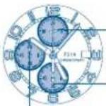 FESTINA F20481 - GRUNOSÄTZLICHE SPEZIFIKATIONEN GRUNOSÄTZLICHE SPEZIFIKATION - 4