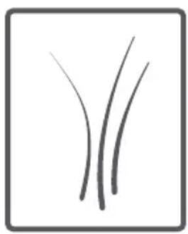 SABA LFS7123 - Tambour - 11
