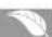 FAGOR SFE820CELX - UMWELT - 1
