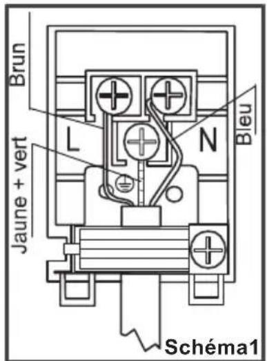 EDSON FEN11NB - Instructions de branchement: - 1