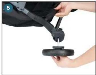 Joovy Kooper X2 - Installing/Removing the Rear Wheels - 1