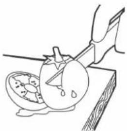Klarstein 10028001 - Assembling and Use - 10