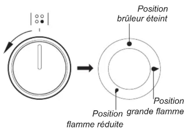 AMICA SHGG 11647 W - Manette de régulation de brûleurs - 1