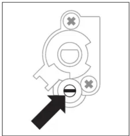 AMICA SHGG 11647 W - Caution! - 2