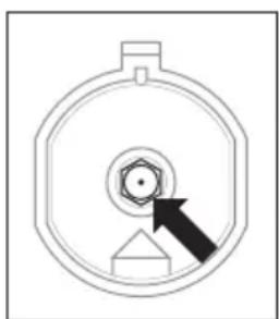 AMICA SHGG 11647 W - Caution! - 1