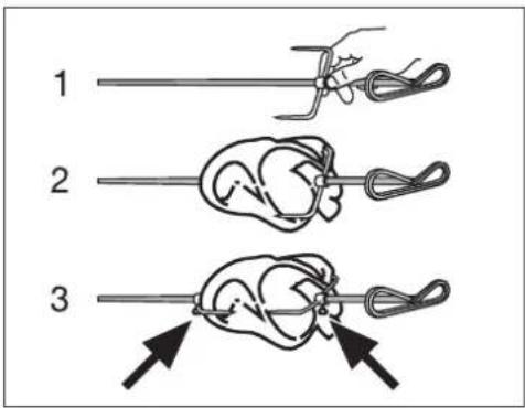 ARTHUR MARTIN ELECTROLUX FE 1405 NG - Placer la pièce à rôtir - 2