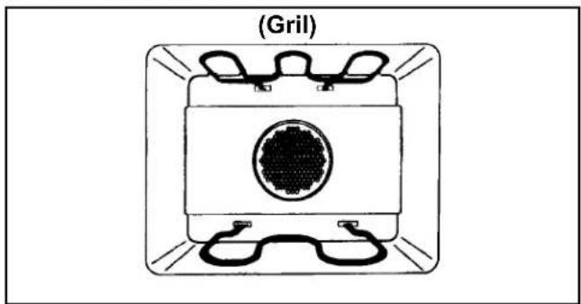 AMANA AOES3030WW - Gril - 1