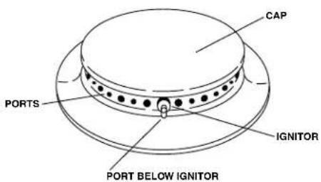 AMANA ALZ8590ADB12 - Pilotless Ignition - 1