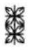 BERNINA 590 - Points décoratifs - 75