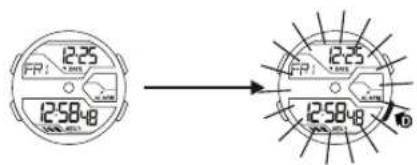 Calypso K5654 - DAS WECHSELN DES ANZEIGENMODUS 3. DIE EL BELEUCHTUNG - 5