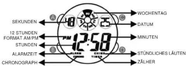 Calypso K5592 - 1