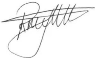 BESTRON DSA991 - CE-KONFORMITÄTSERKLÄRUNG - 1