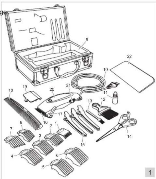 BESTRON DSA991 - FONCTIONNEMENT - Généralités - 1