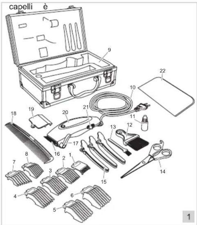 BESTRON DSA991 - FUNZIONAMENTO - Caratteristiche generali - 1