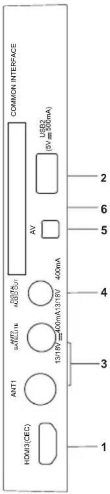 Blue BL40G6FHDT2 - Panneau arrière et latéral - 3