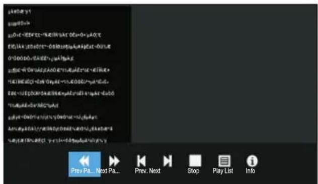 Blue BL40G6FHDT2 - When playing Text files: - 1