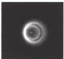 CELESTRON NexStar 8SE - KOLLIMATION - 3