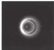 CELESTRON NexStar 8SE - COLLIMATION - 5