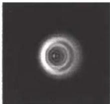 CELESTRON NexStar 8SE - COLLimation - 3
