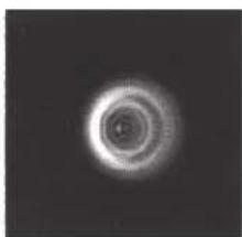 CELESTRON NexStar 8SE - COLLIMAZIONE - 3