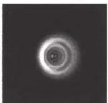 CELESTRON NexStar 8SE - COLLIMATION - 3
