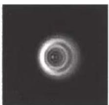 CELESTRON NexStar 8SE - COLIMADO - 3