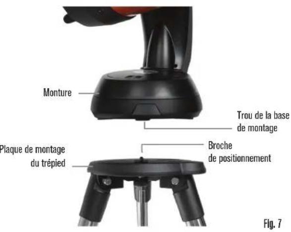 CELESTRON NexStar 8SE - FIXER NEXSTAR AU TRÉPIED - 3