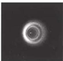 CELESTRON NexStar 8SE - COLLIMAZIONE - 5