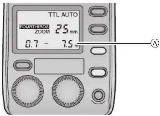 PANASONIC Lumix DMWFL500E - [TTL AUTO] - 1