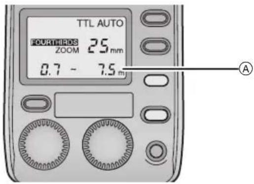 PANASONIC Lumix DMWFL500E - [TTL AUTO] - 1