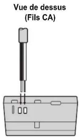 PANASONIC VLVM302 - Branchement des fils CA et des fils CC (VL-PS240) - 3