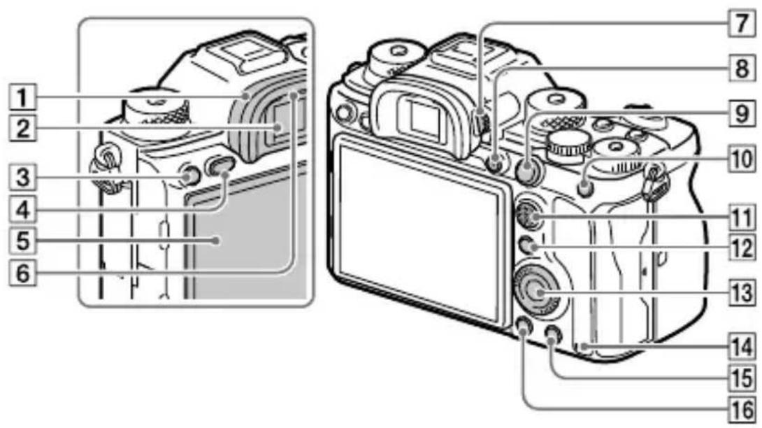 SONY Alpha A9 II - Rear side - 1
