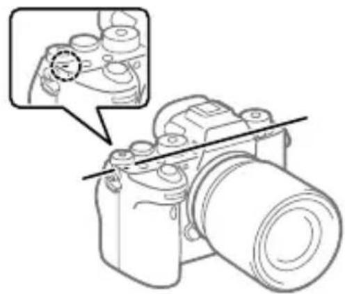 SONY Alpha A9 II - 3aДнЯсторona - 2