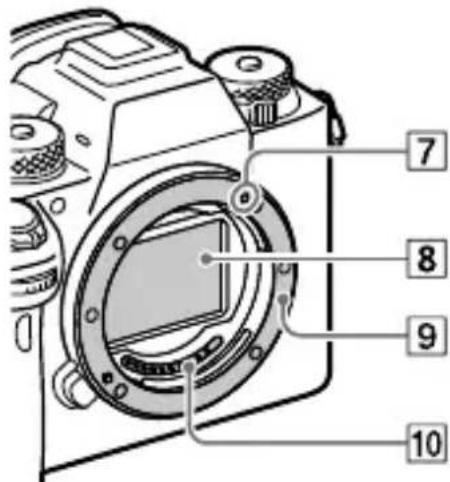 SONY Alpha A9 II - Quando si rimuove l'obiettivo - 1
