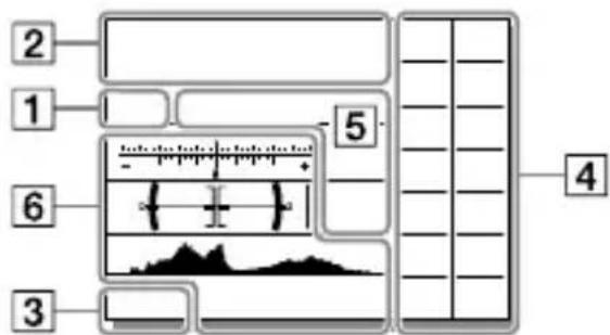 SONY Alpha A9 II - Monitormodus Suchermodus - 2