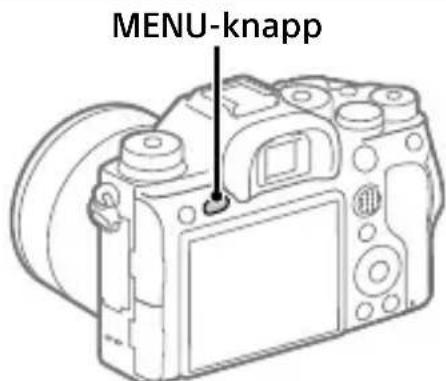 SONY Alpha A9 II - Remote Camera Tool - 1