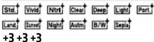 SONY Alpha A9 II - Aufnahme-Einstellungen - 9