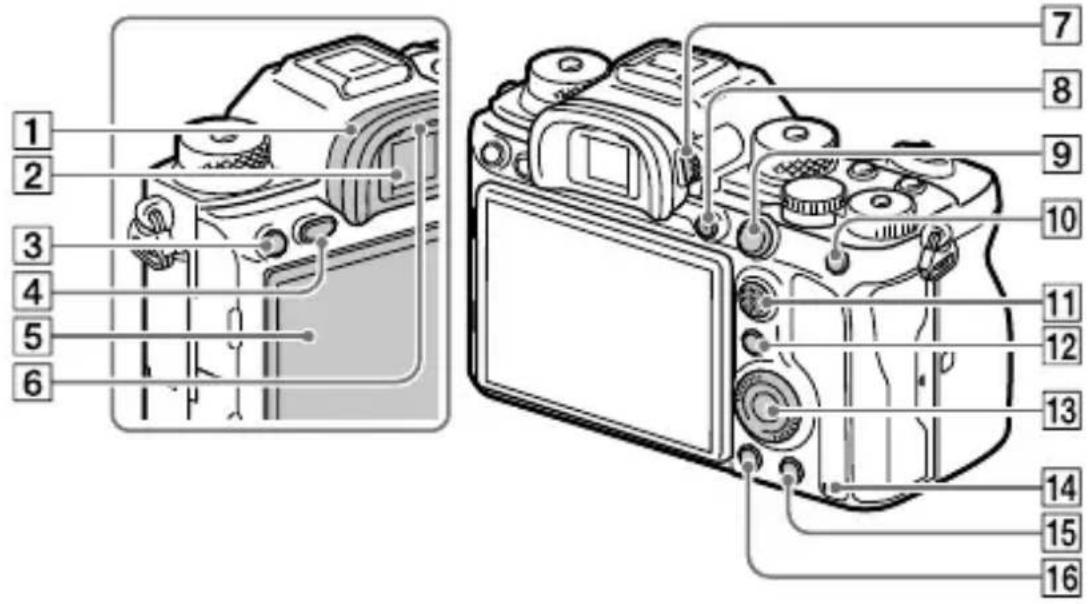 SONY Alpha A9 II - Lado traseiro - 1