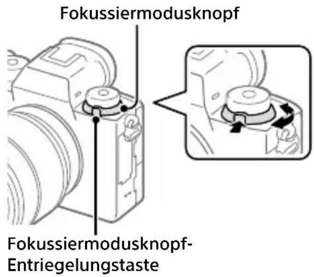 SONY Alpha A9 II - Direkte manuelle Fokussierung (DMF) - 1