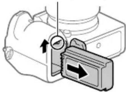 SONY Alpha A9 II - BnMaHNa 6aTapei - 1