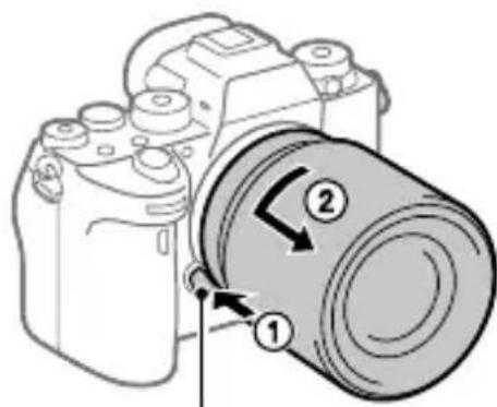 SONY Alpha A9 II - Для сятах obbeektuBa - 1