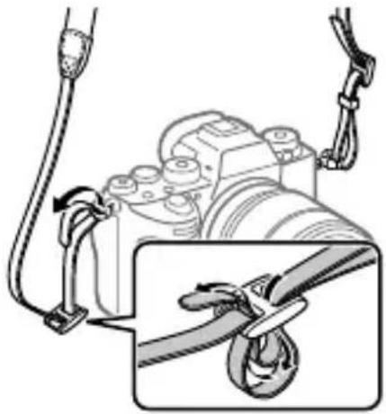 SONY Alpha A9 II - Bud 3ropn - 2