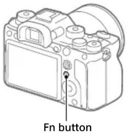 SONY Alpha A9 II - Hint - 1