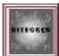 BRAUN Compagno 8 x 26 - x 50 waterproof - 6