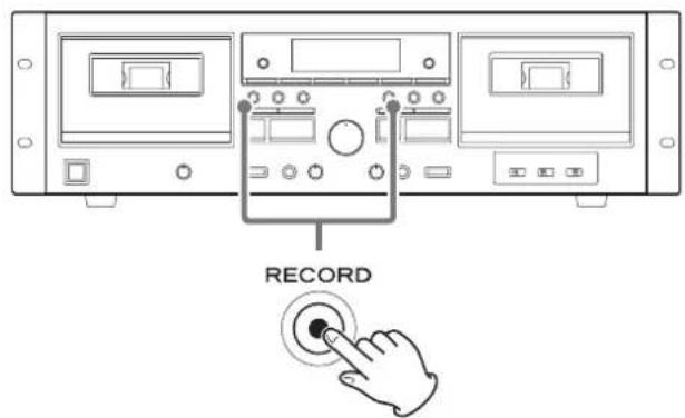 RECORD