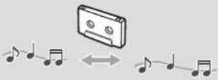 TASCAM 202 MKVII - Reproducción de cintas de cassette - 2