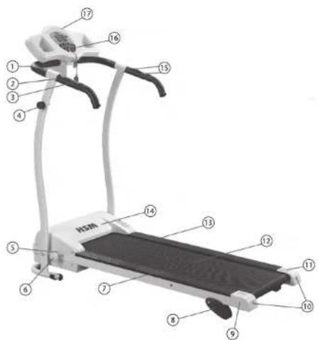 Newgen Medicals LF312 - Produktdetails - 1