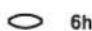 INDESIT WIXL 105 (EX) 60 HZ - موضوع تأخير بدة برنامج الغسيل: - 6