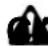 Shindaiwa T243XS - RNING - 1